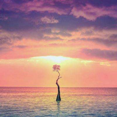 富康彩票旧版本下载安装